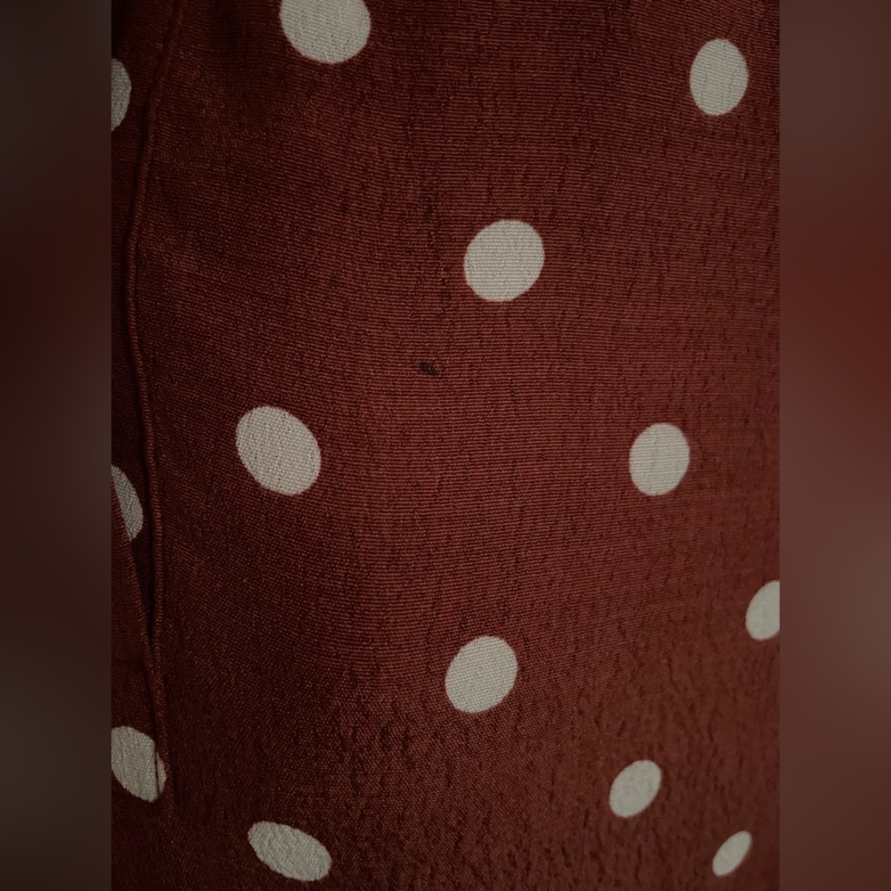 NWOT: Uterqüe Brown Midi-Dress with Polkadots - Picture 11 of 12
